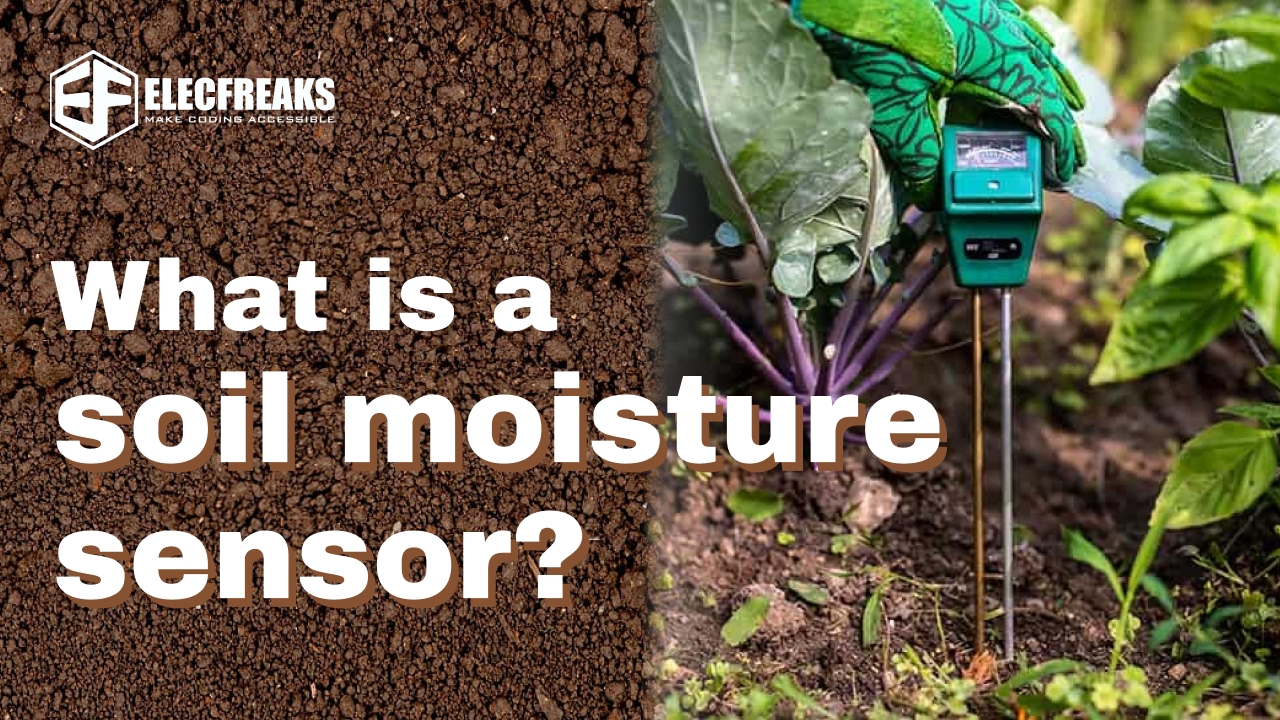 What is a soil moisture sensor?